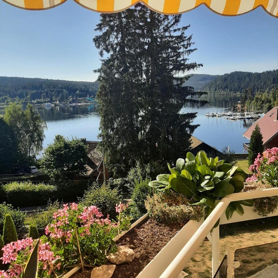 Sunside Ferien Wellness Oase Hotel Apartment'S Schwarzwald Am Schluchsee Ngoại thất bức ảnh